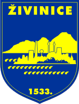 Grad Živinice