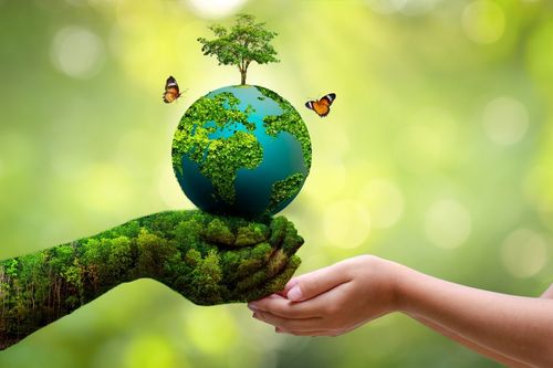 ecology 1 - 1