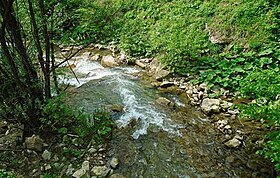 Krusevica-Maslovare