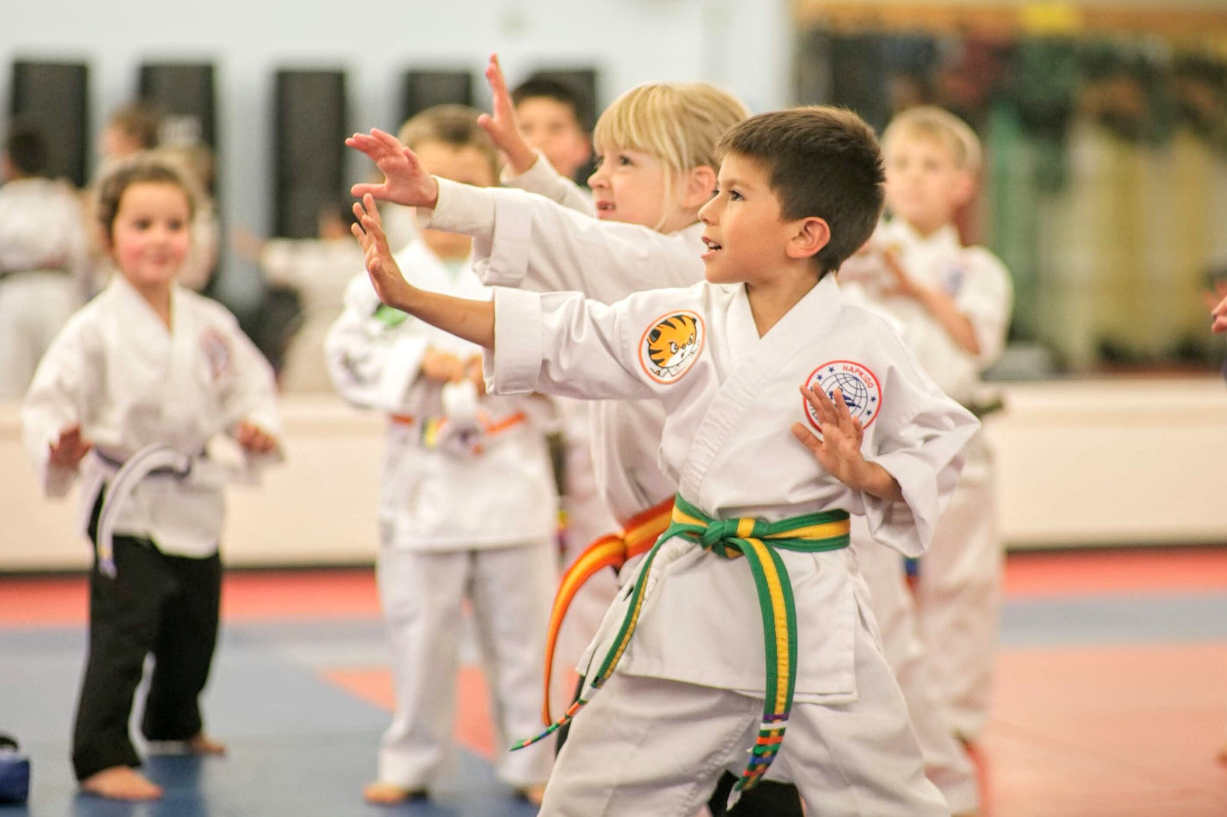 karate-1